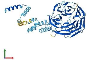 AlphaFold protein structure predicition of Human Recombinant FBXW2 Protein, UniprotID Q9UKT8