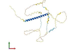 AlphaFold protein structure predicition of Mouse Recombinant Prr16 Protein, UniprotID A3KMN5 (PRR16 Protein (AA 1-304) (His tag))