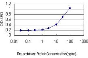 Detection limit for recombinant GST tagged FBXL3 is approximately 1ng/ml as a capture antibody. (FBXL3 antibody  (AA 1-100))