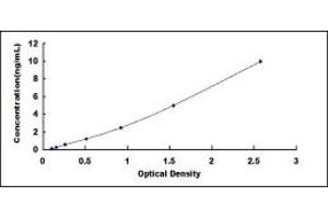 PVRL1 ELISA Kit