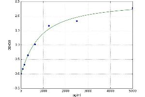 A typical standard curve
