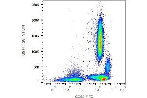 Surface staining of human peripheral blood with anti-human CD44 (MEM-85) FITC. (CD44 antibody  (FITC))