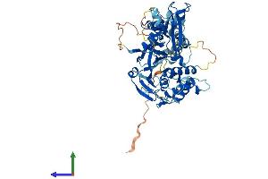 AlphaFold protein structure predicition of Mouse Recombinant Usp22 Protein, UniprotID Q5DU02