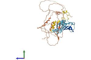 AlphaFold protein structure predicition of Human Recombinant PMS2P1 Protein, UniprotID A4D2B8 (PMS2P1 Protein (AA 1-440) (His tag))
