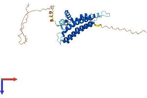 AlphaFold protein structure predicition of Human Recombinant YIPF1 Protein, UniprotID Q9Y548