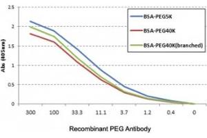 ELISA of three different PEGylated BSAs using the recombinant PEG antibody.