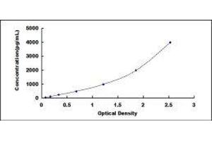 Regenerating Islet-Derived 1 alpha (REG1A) ELISA Kit