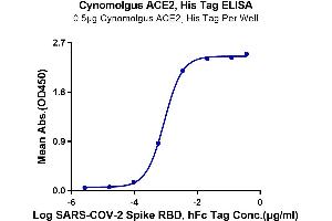 Immobilized Cynomolgus ACE2, His Tag at 5 μg/mL (100 μL/well) on the plate. (ACE2 Protein (His-Avi Tag))