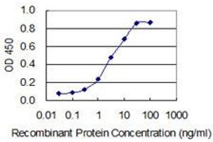 Detection limit for recombinant GST tagged PPP1R8 is 0. (PPP1R8 antibody  (AA 1-209))