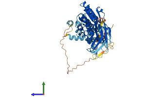 Protein Structure (PS) image for Transmembrane Phosphatase with Tensin Homology (TPTE) (AA 1-551) protein (His tag) (ABIN7544733)