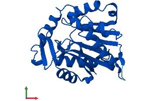 AlphaFold protein structure predicition of Mouse Recombinant Ntmt1 Protein, UniprotID Q8R2U4 (METTL11A Protein (AA 1-223) (His tag))