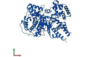 AlphaFold protein structure predicition of Mouse Recombinant Crot Protein, UniprotID Q9DC50 (CROT Protein (AA 1-612) (His tag))
