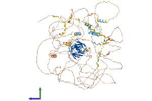 AlphaFold protein structure predicition of Mouse Recombinant Cobl Protein, UniprotID Q5NBX1 (COBL Protein (AA 1-1337) (His tag))