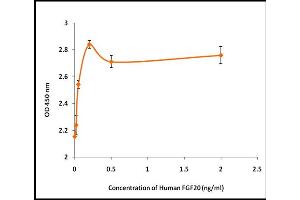 Activity Assay (AcA) image for Fibroblast Growth Factor 20 (FGF20) (Active) protein (ABIN5509482) (FGF20 Protein)