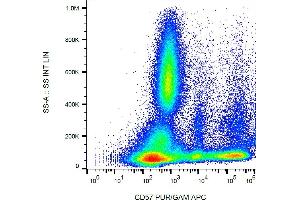 Flow cytometry analysis (surface staining) of human buffy coat cells with anti-human CD57 (TB01) purified, GAM-APC. (CD57 antibody)