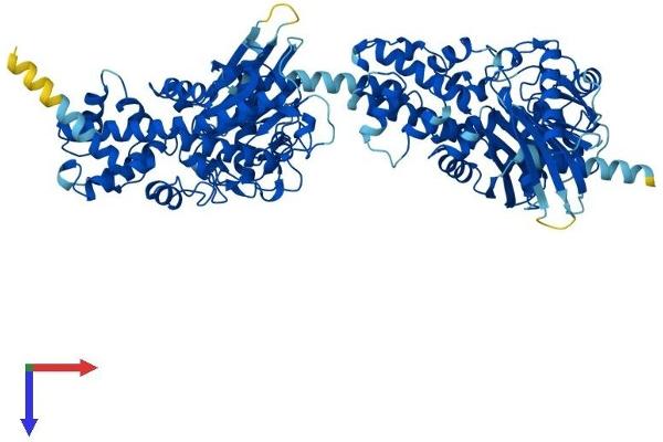HKDC1 Protein (AA 1-917) (His tag)