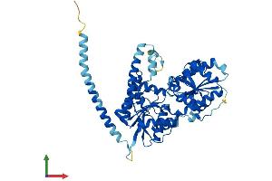 AlphaFold protein structure predicition of Mouse Recombinant Alg11 Protein, UniprotID Q3TZM9 (ALG11 Protein (AA 1-492) (His tag))