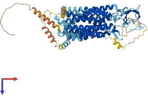 Solute Carrier Organic Anion Transporter Family, Member 1a5 (SLCO1A5) (AA 1-670) protein (His tag)