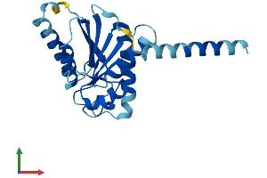 Protein Structure (PS) image for Asparagine-Linked Glycosylation 14 Homolog (ALG14) (AA 1-216) protein (His tag) (ABIN7552047)