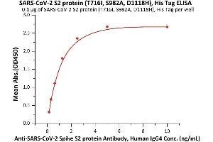 Immobilized SARS-CoV-2 S2 protein (T716I, S982A, D1118H), His Tag (ABIN6992374) at 1 μg/mL (100 μL/well) can bind A-CoV-2 Spike S2 protein Antibody, Human IgG4 (S2N-S86) with a linear range of 0. (SARS-CoV-2 Spike S2 Protein (B.1.1.7 - alpha) (His tag))