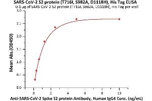 Immobilized SARS-CoV-2 S2 protein (T716I, S982A, D1118H), His Tag (ABIN6992374) at 1 μg/mL (100 μL/well) can bind A-CoV-2 Spike S2 protein Antibody, Human IgG4 (S2N-S86) with a linear range of 0.