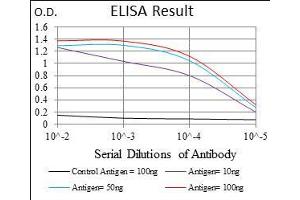 Black line: Control Antigen (100 ng), Purple line: Antigen(10 ng), Blue line: Antigen (50 ng), Red line: Antigen (100 ng), (ONECUT3 antibody  (AA 350-455))