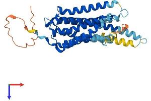 GPR3 Protein (AA 1-330) (His tag)