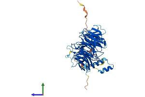 Protein Structure (PS) image for Damage-Specific DNA Binding Protein 2, 48kDa (DDB2) (AA 1-427) protein (His tag) (ABIN7553673)