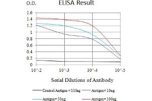 Black line: Control Antigen (100 ng),Purple line: Antigen (10 ng), Blue line: Antigen (50 ng), Red line:Antigen (100 ng) (ABCB1 antibody  (AA 1149-1280))