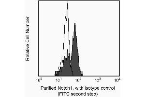 Expression of Notch1 in double-negative thymocytes. (Notch1 antibody)