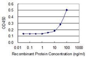 Detection limit for recombinant GST tagged HGD is 3 ng/ml as a capture antibody. (HGD antibody  (AA 1-329))