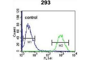 Flow cytometric analysis of 293 cells using Homeodomain-only protein / HOP Antibody  (right histogram) compared to a negative control cell (left histogram). (HOPX antibody  (C-Term))