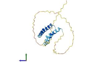 AlphaFold protein structure predicition of Human Recombinant CT45A2 Protein, UniprotID Q5DJT8 (CT45A2 Protein (AA 1-189) (His tag))