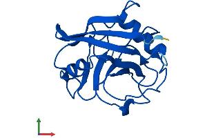 AlphaFold protein structure predicition of Human Recombinant PPIAL4A Protein, UniprotID Q9Y536 (PPIAL4A Protein (AA 1-164) (His tag))