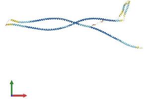 AlphaFold protein structure predicition of Human Recombinant ODF2L Protein, UniprotID Q9ULJ1 (ODF2L Protein (AA 1-636) (His tag))