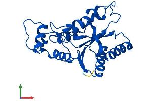 Protein Structure (PS) image for NQO2 (NQO2) (AA 1-231) protein (His tag) (ABIN7549935)
