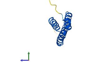 Protein Structure (PS) image for LYR Motif Containing 4 (LYRM4) (AA 1-91) protein (His tag) (ABIN7559488)