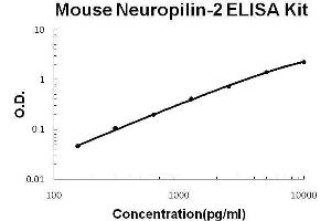 Mouse Neuropilin-2 PicoKine ELISA Kit standard curve