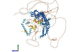 AlphaFold protein structure predicition of Mouse Recombinant Bag6 Protein, UniprotID Q9Z1R2 (BAT3 Protein (AA 1-1154) (His tag))