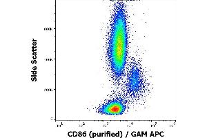Flow cytometry surface staining pattern of human peripheral blood stained using anti-human CD86 (BU63) purified antibody (concentration in sample 3 μg/mL) GAM APC. (CD86 antibody)