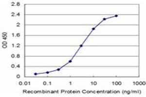 Detection limit for recombinant GST tagged FXN is approximately 0. (Frataxin antibody  (AA 91-200))