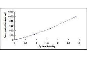 Ischemia Modified Albumin (IMA) ELISA Kit