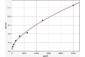 ABCC5 ELISA Kit