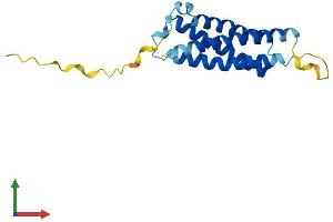 AlphaFold protein structure predicition of Human Recombinant MAL2 Protein, UniprotID Q969L2