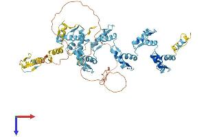 Zinc Finger Protein 681 (ZNF681) (AA 1-645) protein (His tag)