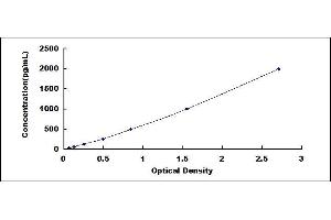 Typical standard curve (WNT11 ELISA Kit)