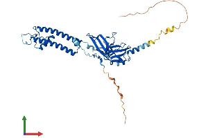AlphaFold protein structure predicition of Human Recombinant KCNJ9 Protein, UniprotID Q92806 (KCNJ9 Protein (AA 1-393) (His tag))