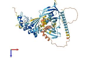 Ankyrin Repeat Domain 13A (ANKRD13A) (AA 1-590) protein (His tag)