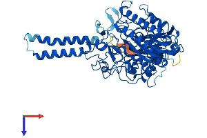 Arylsulfatase H (ARSH) (AA 1-562) protein (His tag)