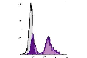 C57BL/6 mouse splenocytes were stained with Rat Anti-Mouse CD24-UNLB. (CD24 antibody)